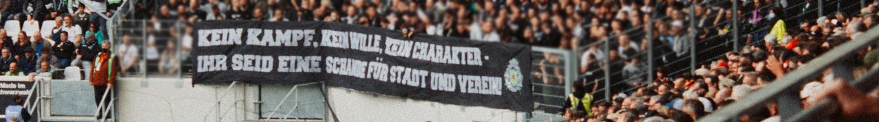 31. SC Freiburg – Borussia 3:3