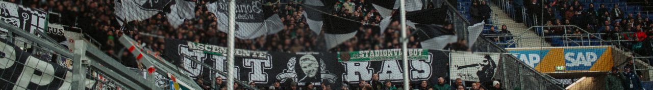 18. TSG Hoffenheim – Borussia 1:4
