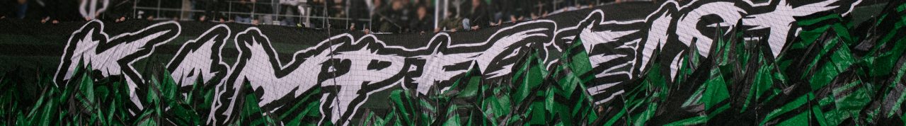 10. SC Freiburg – Borussia 3:3